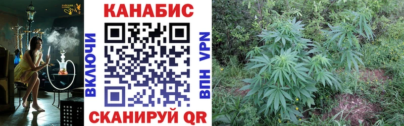 Канабис Ganja  Купить где  Санкт-Петербург 